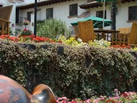 Mansion del Cupatitzio Hotels in Uruapan del Progreso