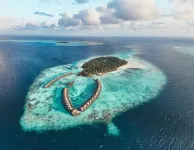 Ayada Maldives - (Complimentary domestic transfer for 2 adults on 7N+ stays till 30 Sep 2026) - Gym