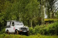 Yedamakky Plantations - Pet friendly