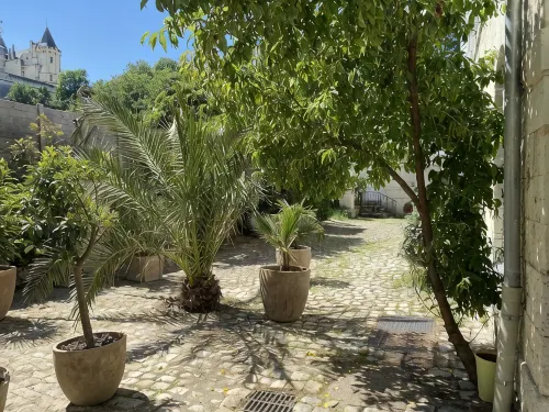 3500 SQF/HISTORIC HOUSE WITH WARMED POOL IN THE OLD SAUMUR/GREAT VIEWS - 4성급