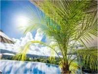 Oriental Hills Okinawa - Romantic