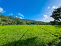 Villa Kamar Tamu Piyungan - วิว