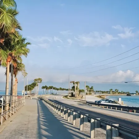 Charming condo close distance to Honeymoon Island!
