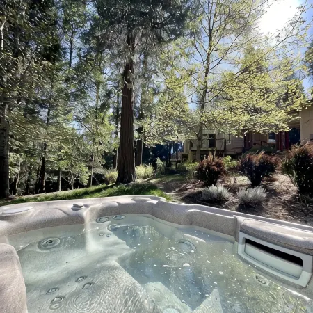 Lux, creekfront 8-acre retreat with hot tub