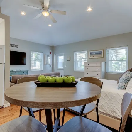 Spacious studio in Downtown Dunedin! Super Cute and Comfortable!