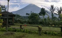 @Niek Homestay - WiFi
