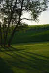 Winery & Vineyard Loft with 1000+ acres of hiking. Farm with Goats & Horses - Farmhouses