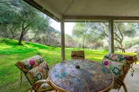 Next to Sequoia National Park Entrance and Pet Friendly! - Boutique