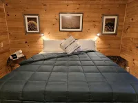2BR cabin with private hollow, creek, and historic dam, minutes to trails/food - Chalets