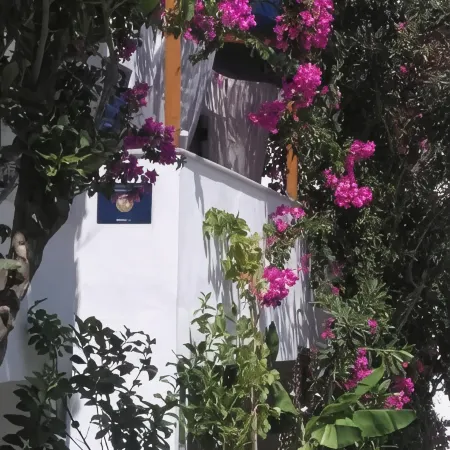 Doron Hotel Delfini