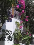 Doron Hotel Delfini - Pet friendly