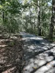 Secluded 2 bedroom home close to Hermann - Wifi