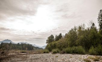 Family Cabin on Cowlitz River-Covered Deck/Hot Tub/Games! Pet Friendly!