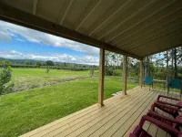 Firefly Cottage Nestled in a Vineyard 1 Mile to Keuka Lake - 3-stjärniga