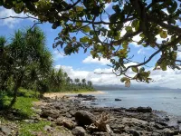 Blue Seastar Cottages - รีสอร์ท