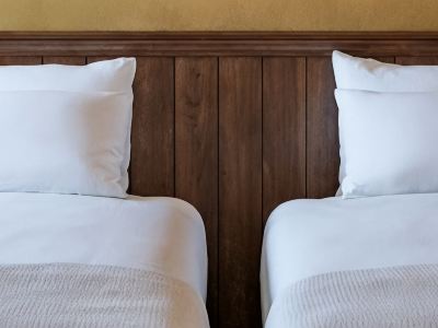 THE ALPS HOTEL HAKUBA