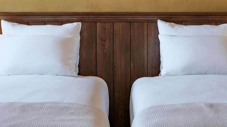 THE ALPS HOTEL HAKUBA