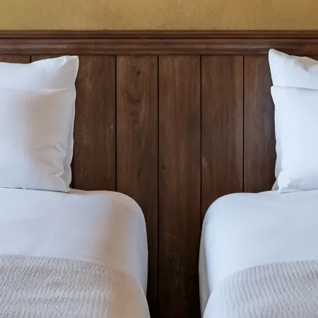 THE ALPS HOTEL HAKUBA