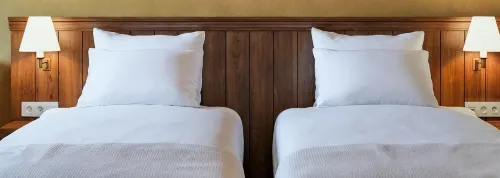 THE ALPS HOTEL HAKUBA - avec sources thermales