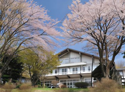 蔵王温泉 善七乃湯 Oohira Hotel