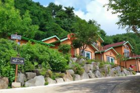 Yangyang Dog Pension Gangine House