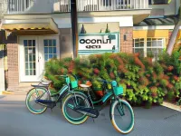 Coconut Inn Pass-a-Grille Beach Hotels in Tierra Verde
