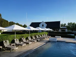 Kievits Kroon Gauteng Wine Estate