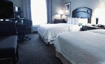 Hampton Inn & Suites by Hilton Edmonton International Airport