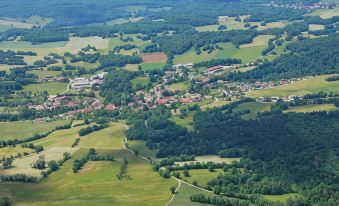 Le Champ des Lys
