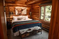 Winter Wonderland Cabin! Sleeps 12! Awesome Hot Tub and Fireplace!