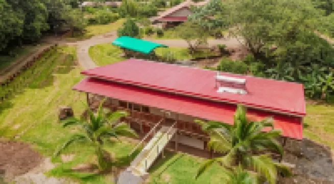 Hotel del Bosque โรงแรมใน