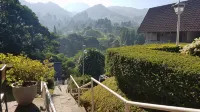 Hotel Ariandri Puncak - Mountain view