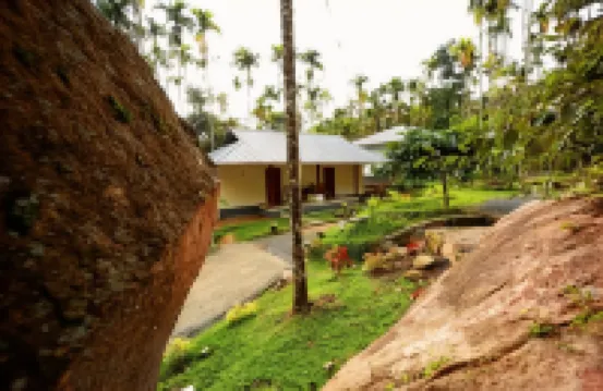 Cave Valley Wayanad