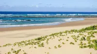 Ingwenya Lodge - Beach