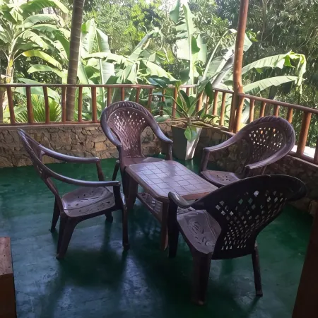 Ella Nature Nest