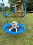Lord Derby, Cottage with pool & hot tub, tranquil setting,20min from Southwold - Wi-Fi