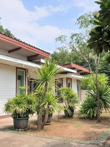 รูปภาพของซีบีช เกาะล้าน 3