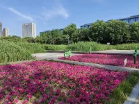 Borrman Hotel (Jining Rencheng District Government Sino-German Square) - Scenic