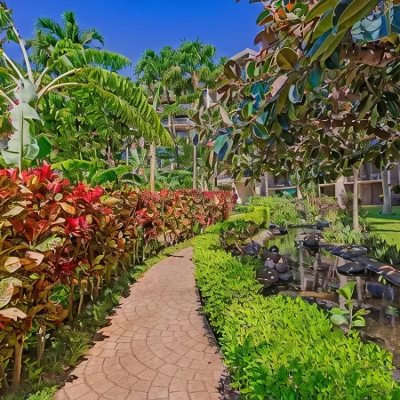 Closest 1-Bedroom to the Beach at Kaanapali Shores. Just 65 Steps to Sand!
