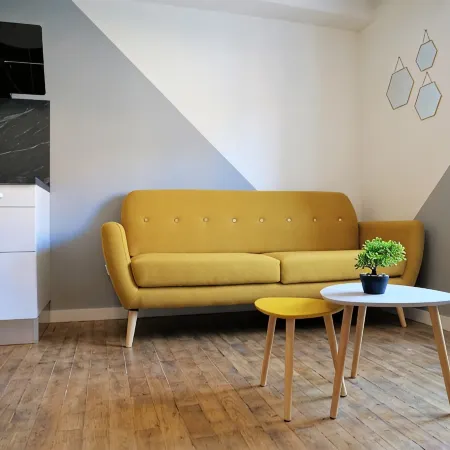Completely renovated modern apartment