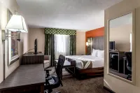 Comfort Inn & Suites Nashville Downtown - Stadium - parking