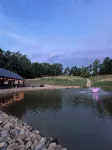 Pine Ridge Cabin House - Cozy Retreat In Woodland Setting With Hiking Trails - Boutique