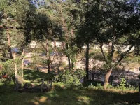 A perfect family vacation on the Frio River. Hotels in Real County