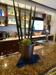 Blue Waters Inn - ที่มีบาร์