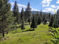 Large, Comfortable Home | Sleeps 8 | On the Clearwater River | Dog Friendly - Homestays