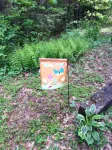 2BR +loft  Cottage in the mountains Va Creeper Trail, HOT TUB, ATV rentals,