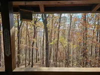 Relaxing 2 bedroom 2 bath cabin minutes from Dahlonega city center!
