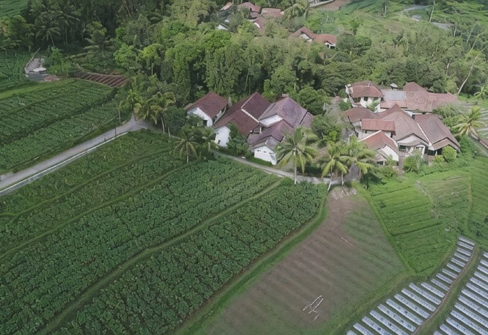Griya Harja Homestay - Housity