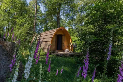 Buitenplaats Beekhuizen - Homestays