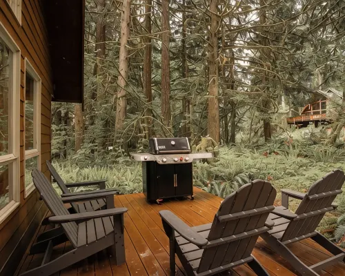 Modern Cabin | New Hot Tub · Sauna · EV Charger Hotels in Glacier